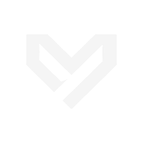 Logo Virtus Solutions